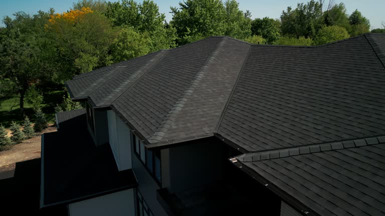 Best Asphalt Shingle Roofing  in Palmyra, NJ